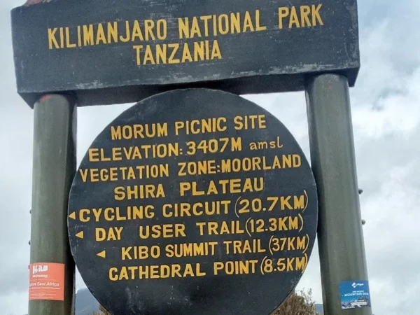 Kilimanjaro Shira Plateau Day Hike