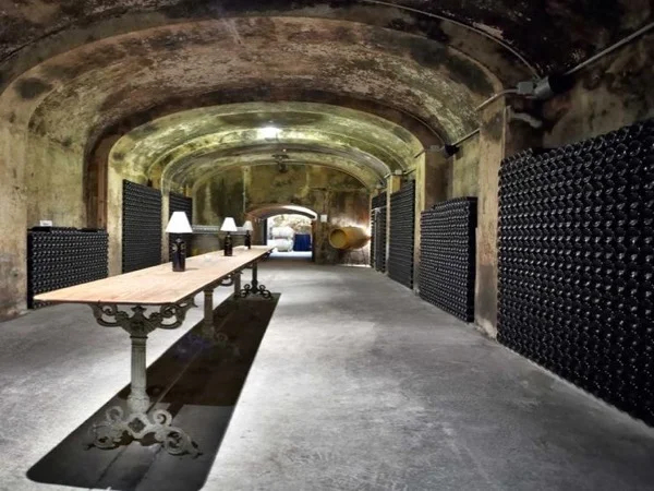 Winery, olive oil production and history in Mallorca