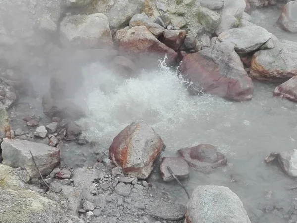 Visit Furnas Van Full Day Tour