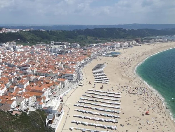 The Best of Portugal from Porto to Lisbon Private Full Day Transfer/Tour.