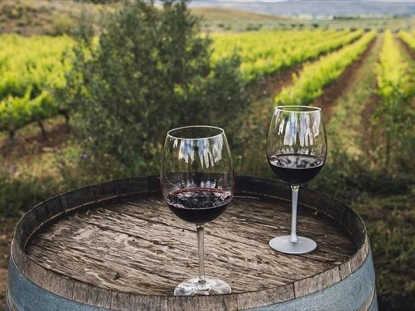Madrid Wine Tour: half day experience in the Madrid countryside