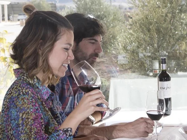 Ribera del Duero Wine Tour from Madrid - Exclusive !!