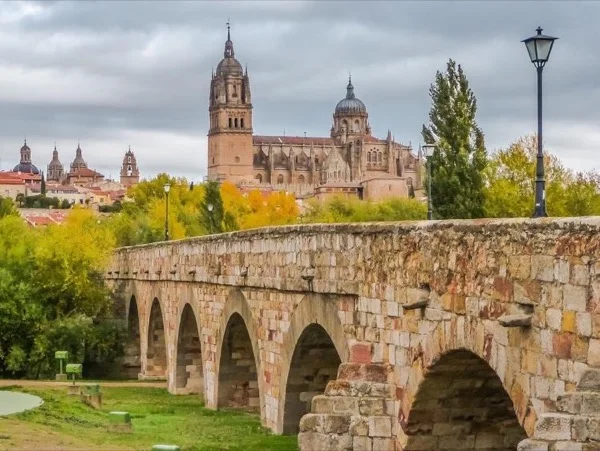 Salamanca and Avila from Madrid. Private tour