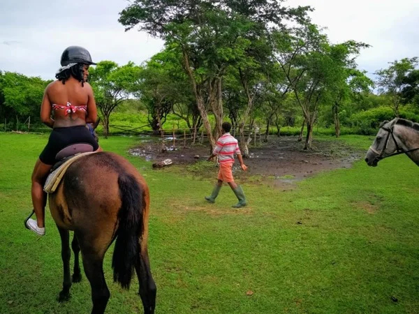 Saint Lucia Horse Back Riding