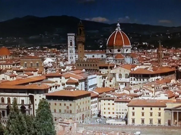 Full Day Tour of Florence with Academy and Uffizi Gallery