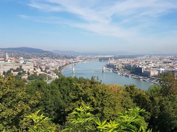 Cover media image