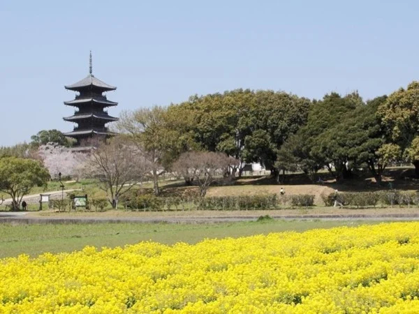 Cover media image