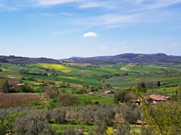 TUSCANY Hills & Wine from Rome by private mini van