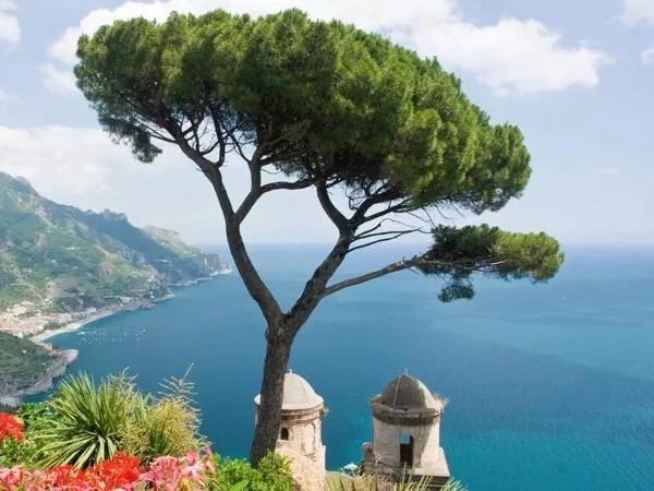 Amazing POMPEII & Ravello private Day Trip from Rome