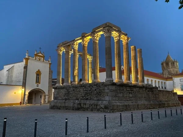 Cover media image