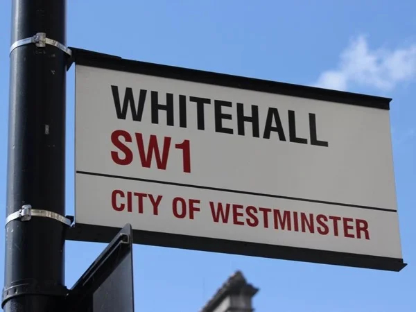 Private Sightseeing Walking Tour Of Westminster and Whitehall.