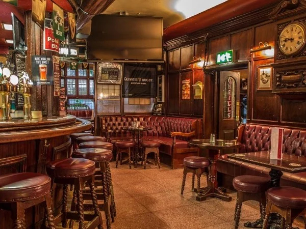 Irish Pub & History Tour with Local Guide