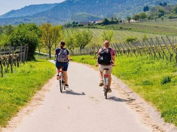 E-bike and Wine Tasting tour