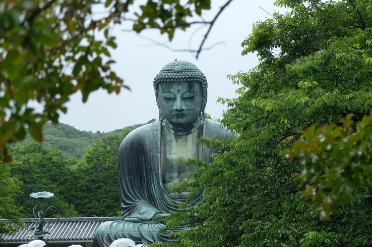 Cover media image