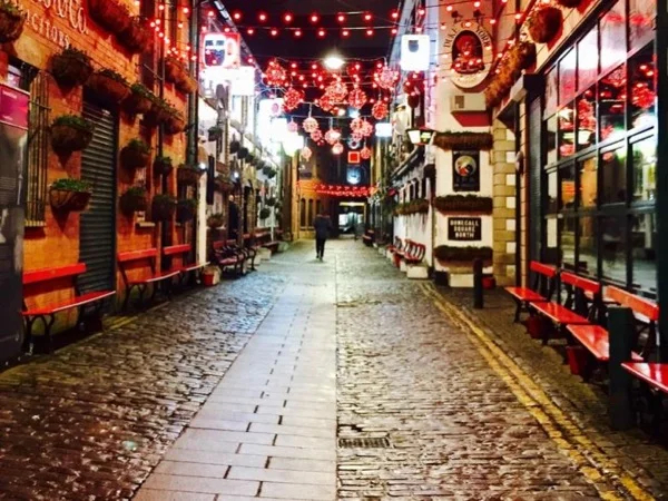 Best of Belfast Private Half Day Tour