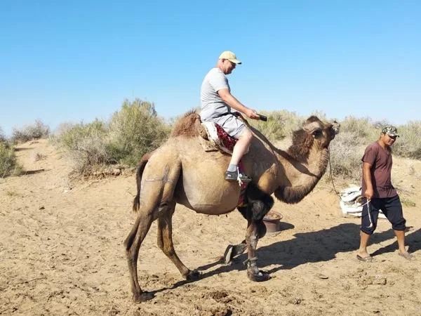 Camel Safari in the Desert and Swimming in Aydarkul Lake