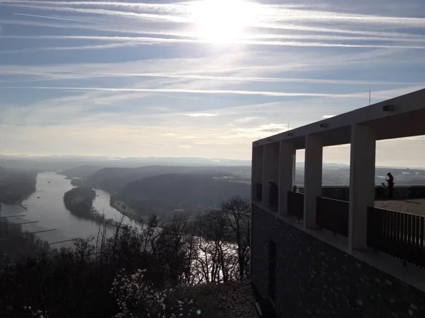 Adenauer Home & Drachenfels Hiking - Day Trip from Cologne