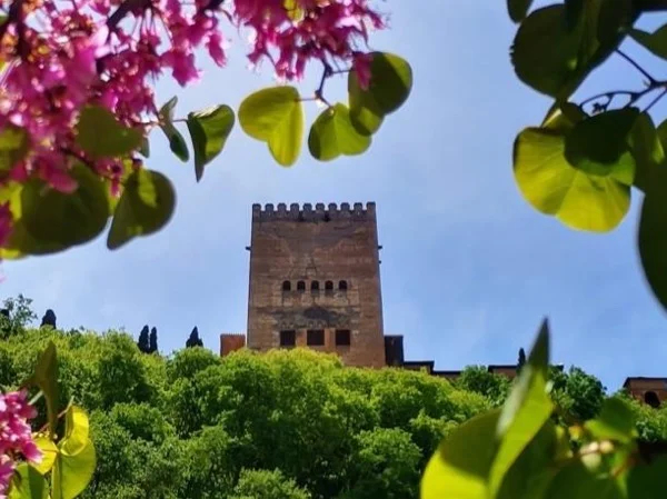 Granada Highlights Private City Tour