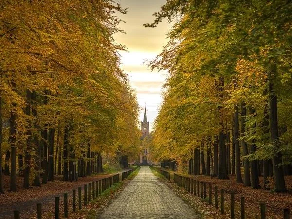 Bike & foot: Shore Excursion, Bruges & Damme