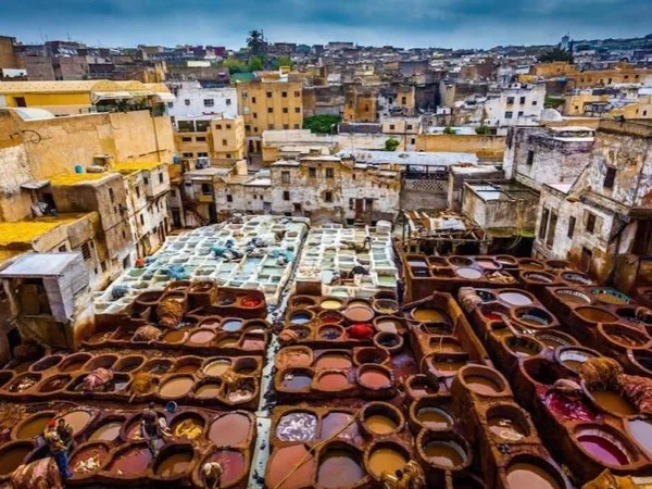 Explore Fez City with your private tour guide