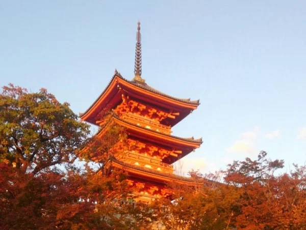 Cover media image