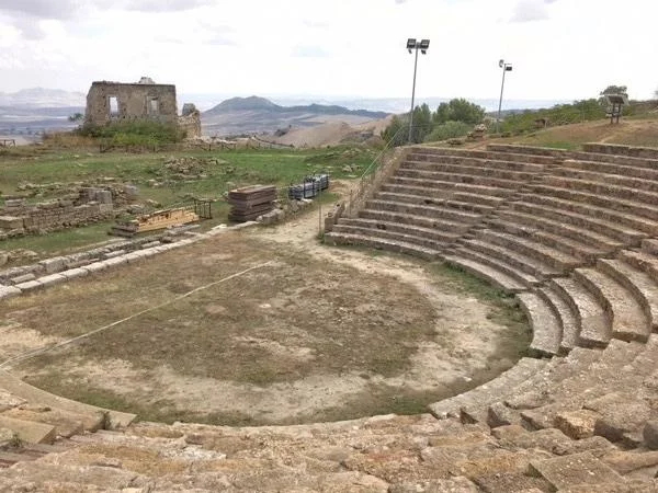 Morgantina & the Venus Half Day Tour