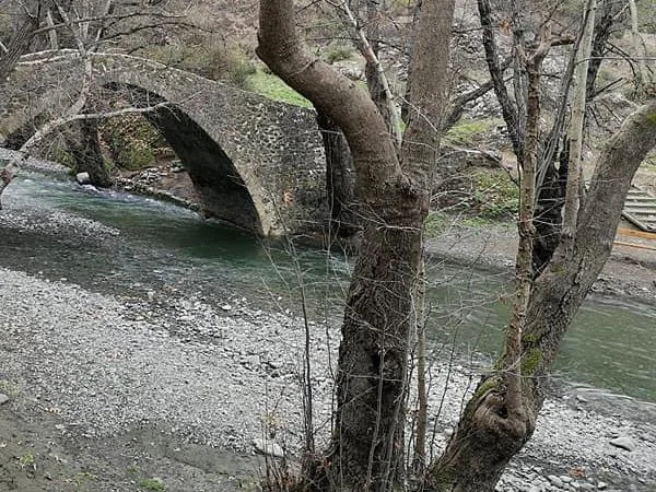 Full-Day Private Tour to the famous Kykkos monastery ,forest scenery, byzantine art...