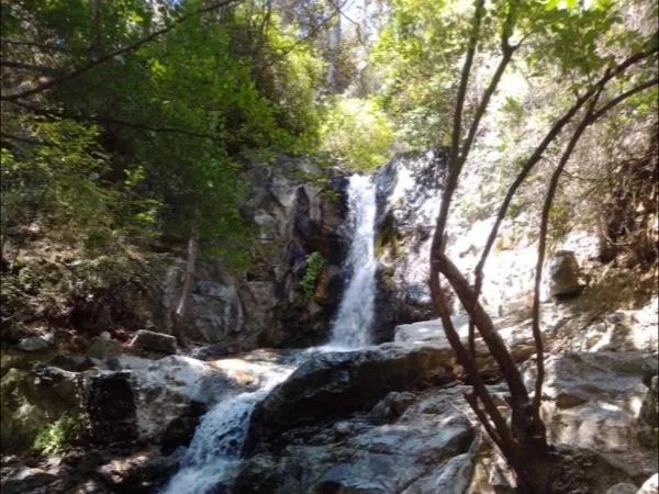 Full-Day Private Tour into Troodos Mountains : forest scenery, nature trails,water falls