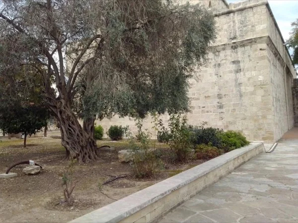 Half-day Limassol city tour, Castle and Marina