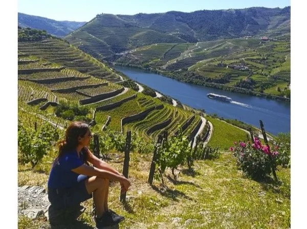 Private Full Day tour in Douro Valley From Porto