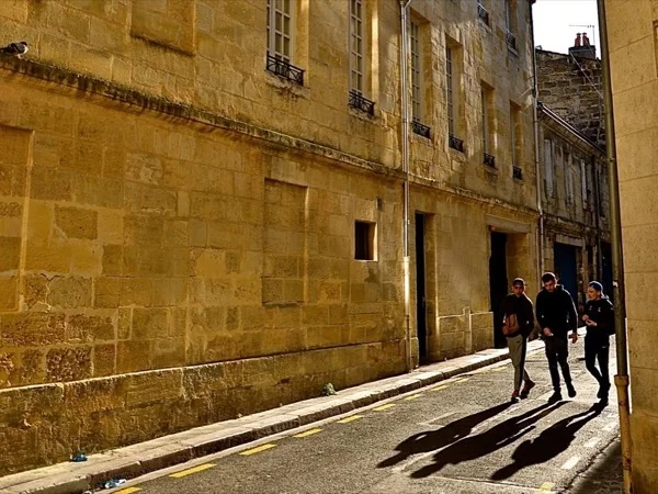 "Savor Bordeaux: A Private Half-Day Walking Tour with Wine Tasting"