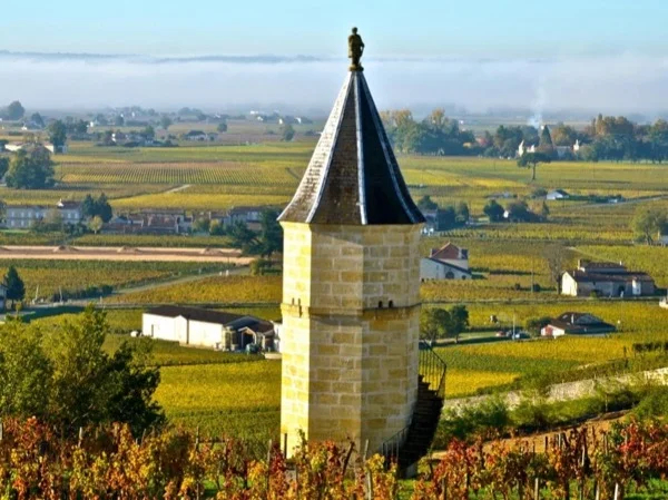 "Savor the Best of Saint-Émilion: A unique Wine Tour Experience" - Private, full day tour.