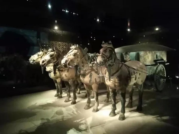 Xi'an Hightlights Tour including Terracotta Army Museum,Big Wildgoose Pagoda &the City wall