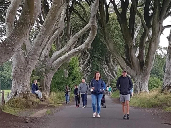 Private Tour of the Giants Causeway center half day tour