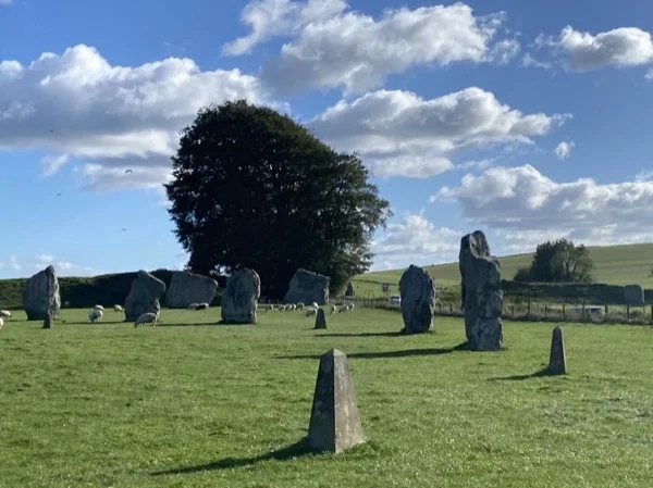 Stonehenge & Avebury private tour: personal driver~guide in an executive vehicle from London or Southampton.