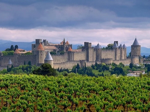 Carcasonne Private Tour Half Day excursion