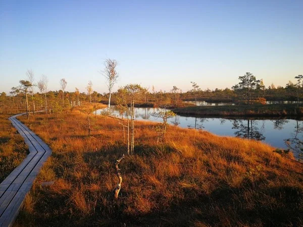 Nature Trail Tour in Jurmala - Day trip from Riga