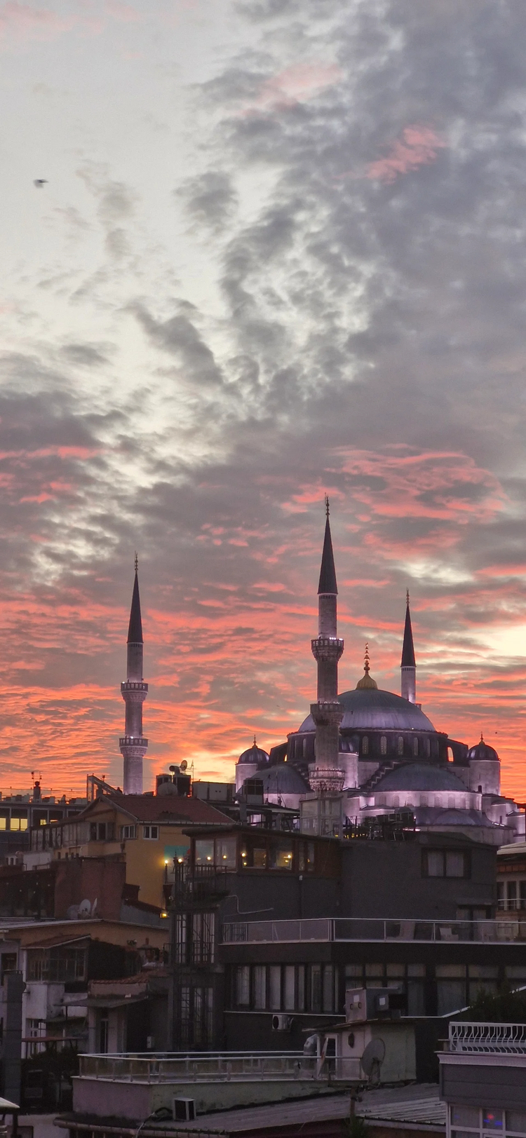 Cover media image