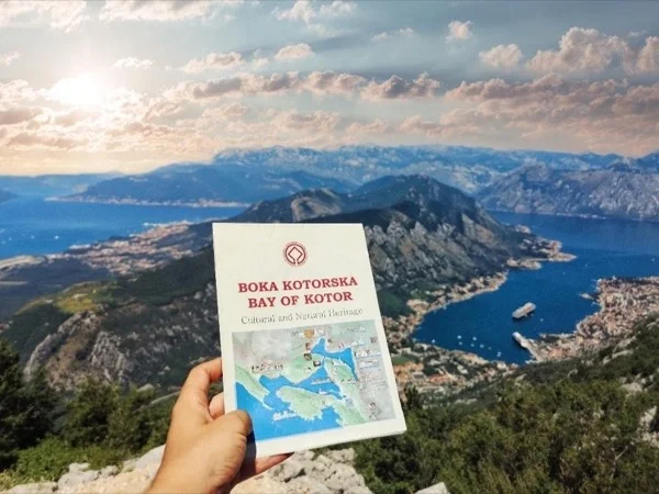 Cover media image