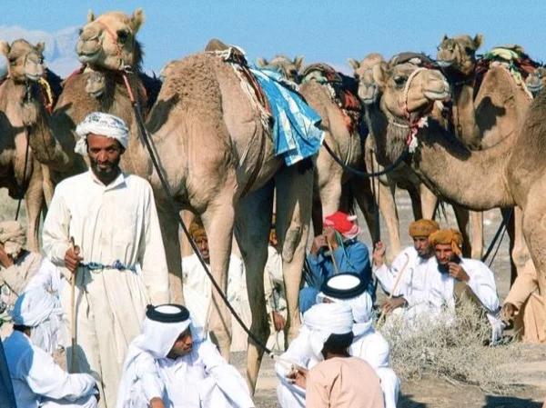 Al Ain City Tour - The Story of Sheikh Zayed