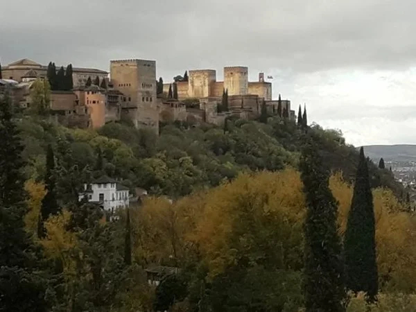 Albaicín & Sacromonte Private tour