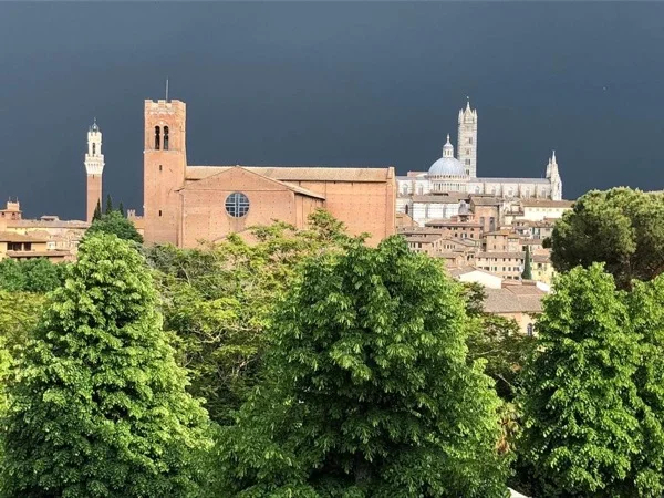 Full day trip from Livorno to discover Siena - Shore Excursion