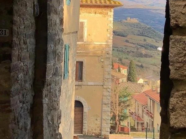 Montalcino to Sant'Antimo Abbey and San Quirico d'Orcia: a full day tour out of town between nature, art, wine and olive oil