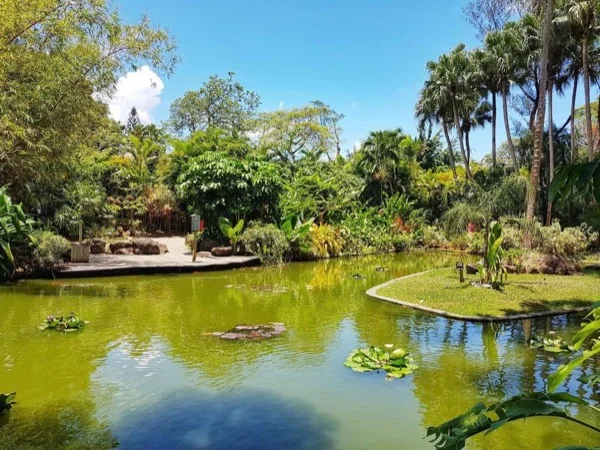 The Exotic lush, Guadeloupe Premium Private Tour