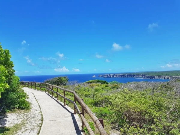 Guadeloupe Highlights: Northern East Coast (Grande Terre Nord)