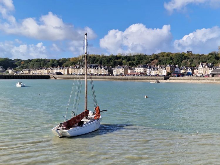 Cover media image