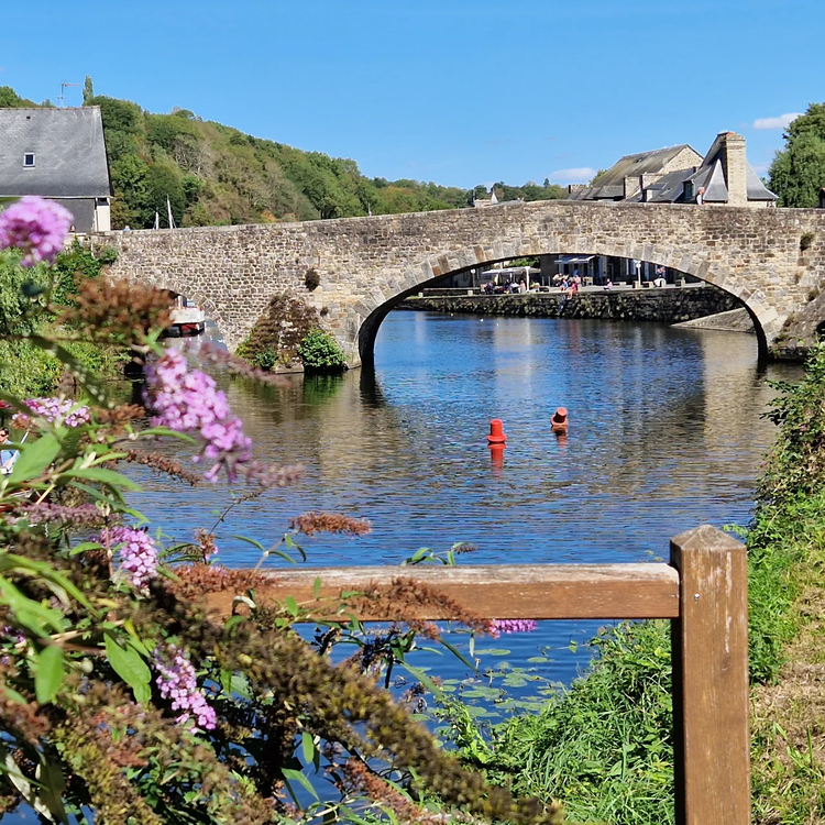 Cover media image