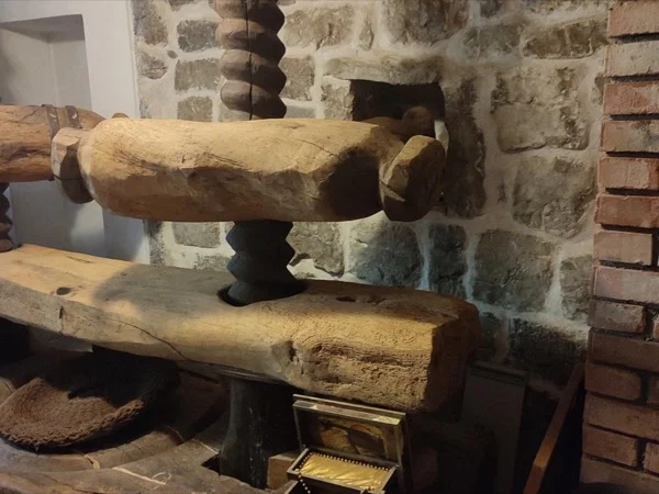 Kotor Traditional Olive Oil Production & Tasting - Private Tour