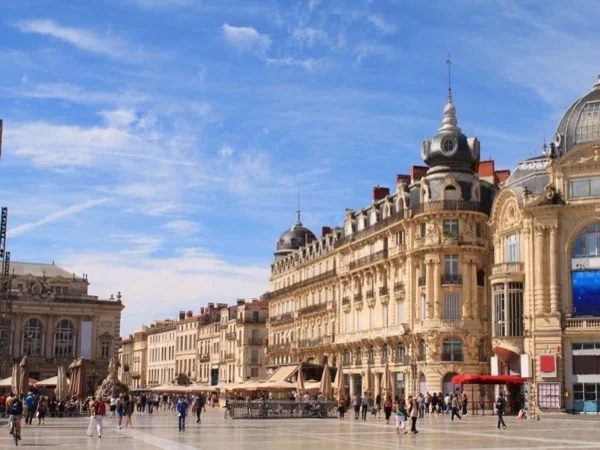 Highlights of Montpellier + château winery! Full-day private tour