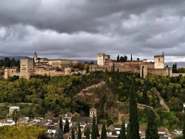 Free areas of the Alhambra and Carmen of the Martyrs
